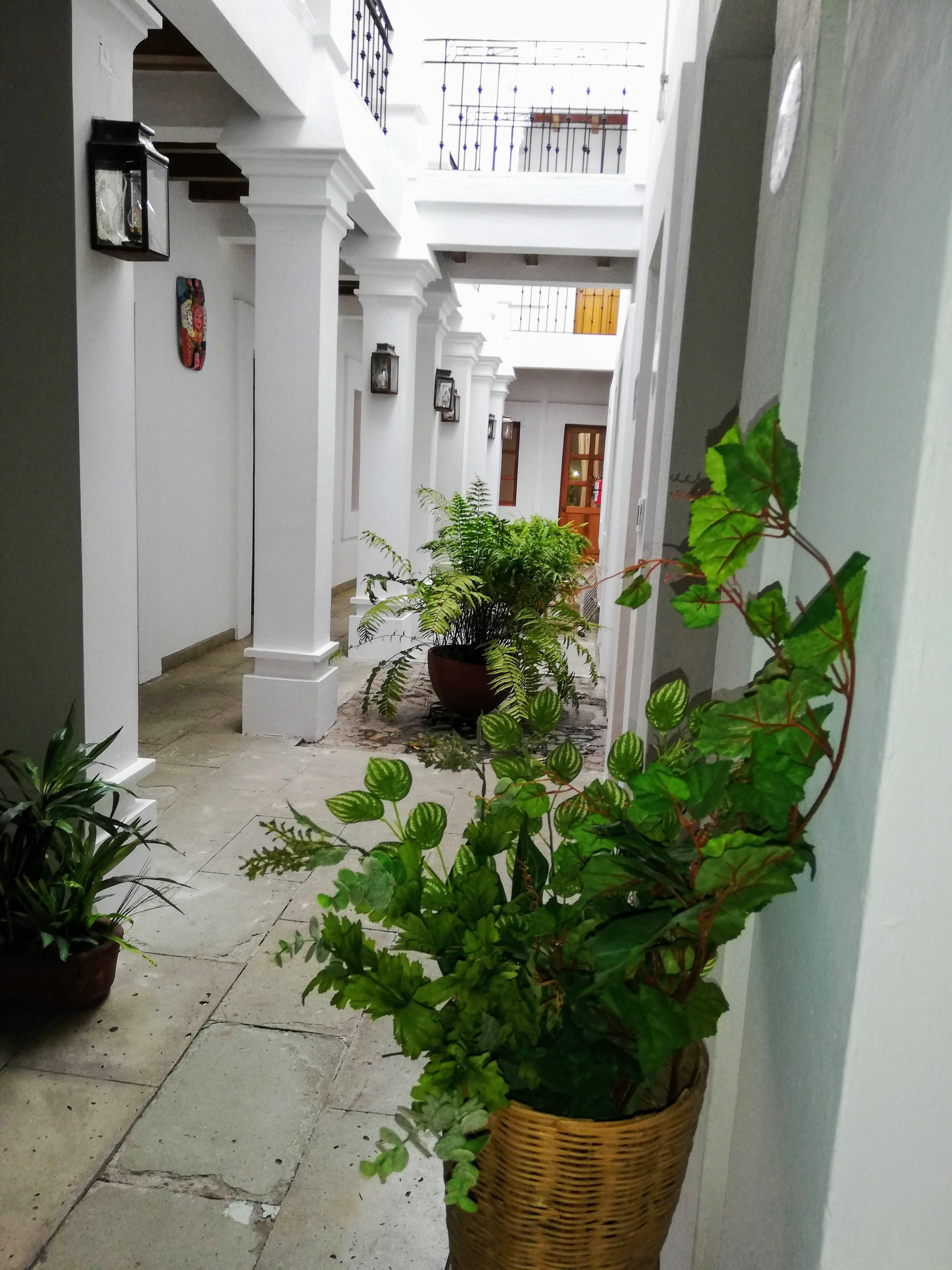 Hotel Aitana Oaxaca Екстериор снимка